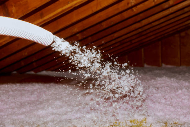 Types of Insulation We Offer in Eddyville, IA
