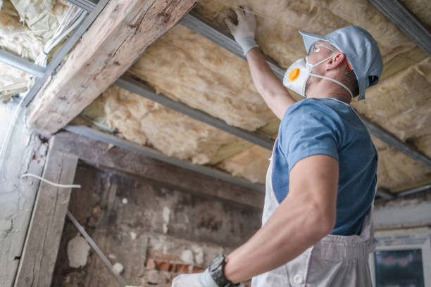 Best Cellulose Insulation in Eddyville, IA